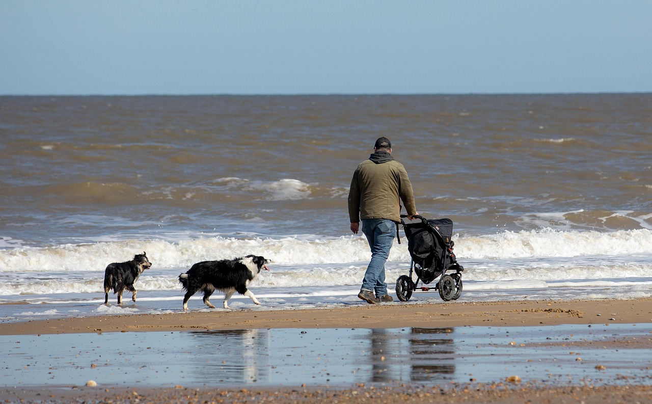 Cane in passeggiata, padrone riflette sull'orario di uscita quotidiano.